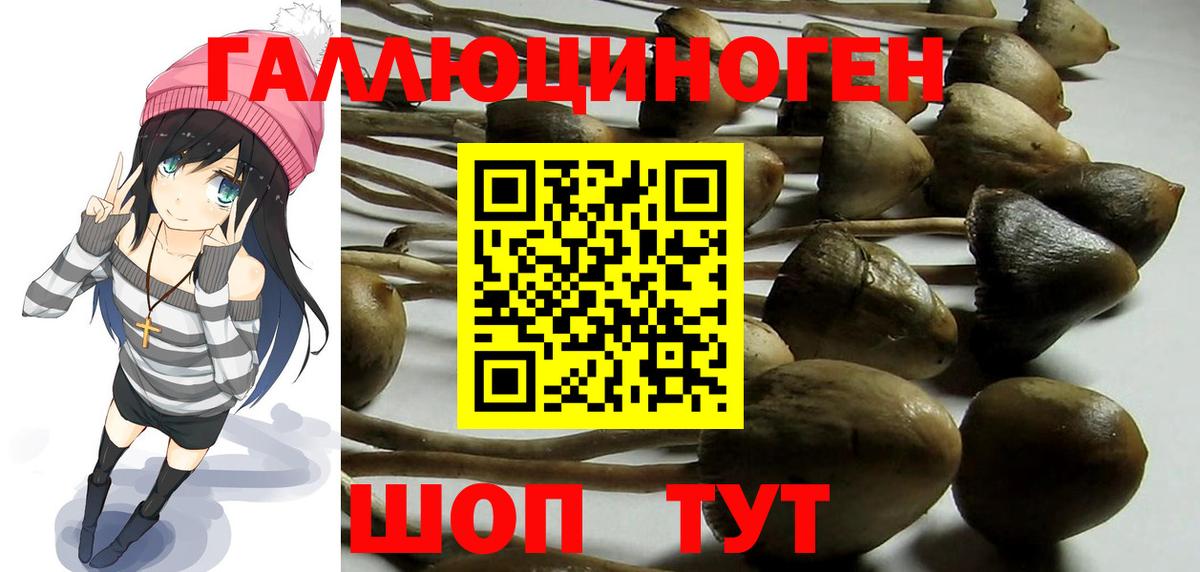 Галлюциногенные грибы Magic Shrooms  Вход с VPN  Железногорск 