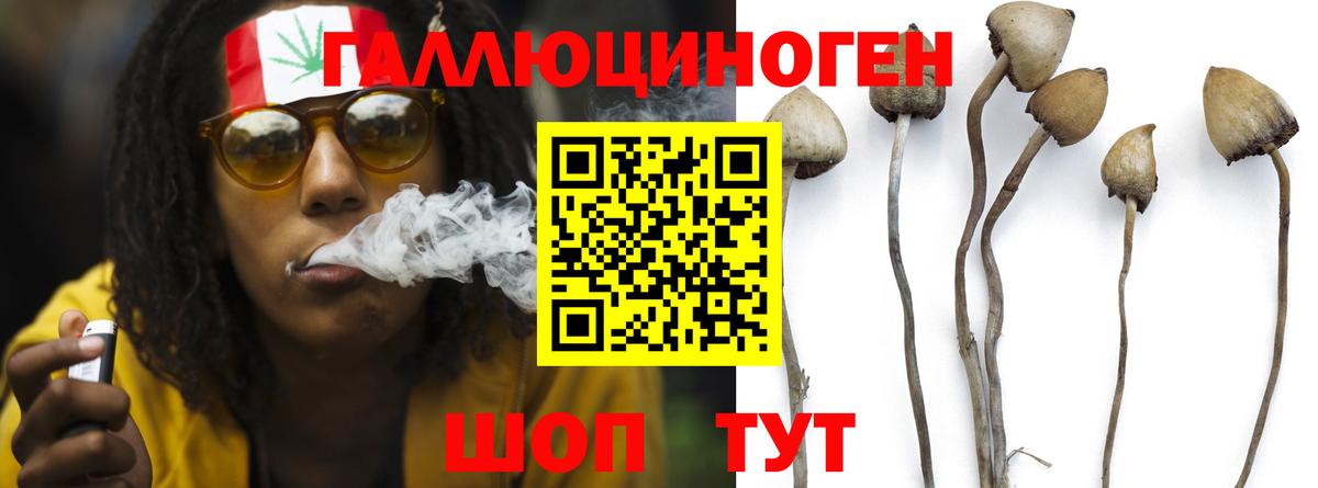 Псилоцибиновые грибы GOLDEN TEACHER Железногорск